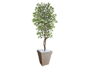 Ver imagem 1 de Planta Artificial Ficus Verde Creme 2,10m kit + Vaso Trapezio D. Grafiato Bege 40cm