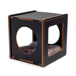 Playground Salem para Gatos Grandes - 11