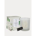 Ver imagem 1 de Vela Perfumada Patchouli Vanilla 210g – L’envie