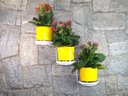 Ver imagem 4 de Jardim Vertical: Suporte de Parede Branco para 3 Vasos | Decoração Sofisticada e Prática! Direito