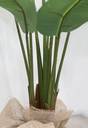 Ver imagem 2 de Árvore Planta Verde Bananeira 160cm Realista
