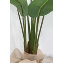 Ver imagem 2 de Árvore Planta Verde Bananeira 160cm Realista