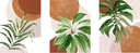 Ver imagem 4 de Tríptico - Quadros Decorativos Floral Costela de Adão Grande:Madeira