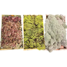 Kit com 3 Musgos Fofão Vivo Verde Rosa Branco para Decoração - 1