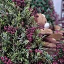 Ver imagem 4 de Galho Decorativo Natalino Natal Berry Roxo Uva Azevinho 63cm Tok da Casa