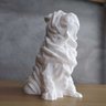 Sharpei Geométrico Decorativo Vegras Branco - 10