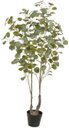 Ver imagem 1 de Planta Artificial Arvore Eucalipto C/pote X1152 Verde 1,20cm