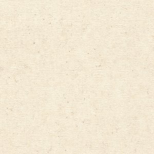 Papel de Parede Concrete 520835 sem Desenho Bege