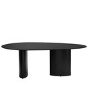Ver imagem 1 de Mesa de Jantar Orgânica para 8 Lugares Gaya 220 Cm - Preto Fosco