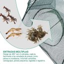 Ver imagem 3 de Rede Peixe Covo 6 Furos Kit 4 Uni Rede Pesca Isca Lambari Camarao Corvina Lagosta Robalo Siri Piaba