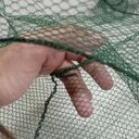 Ver mais imagens de Rede Peixe Covo 6 Furos Kit 4 Uni Rede Pesca Isca Lambari Camarao Corvina Lagosta Robalo Siri Piaba