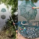 Ver imagem 7 de Rede Peixe Covo 6 Furos Kit 4 Uni Rede Pesca Isca Lambari Camarao Corvina Lagosta Robalo Siri Piaba