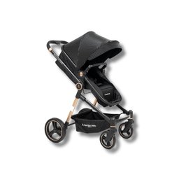 Carrinho de Bebe Aston + Bebe Conforto + Base Line Gold/preto - Joie - 5