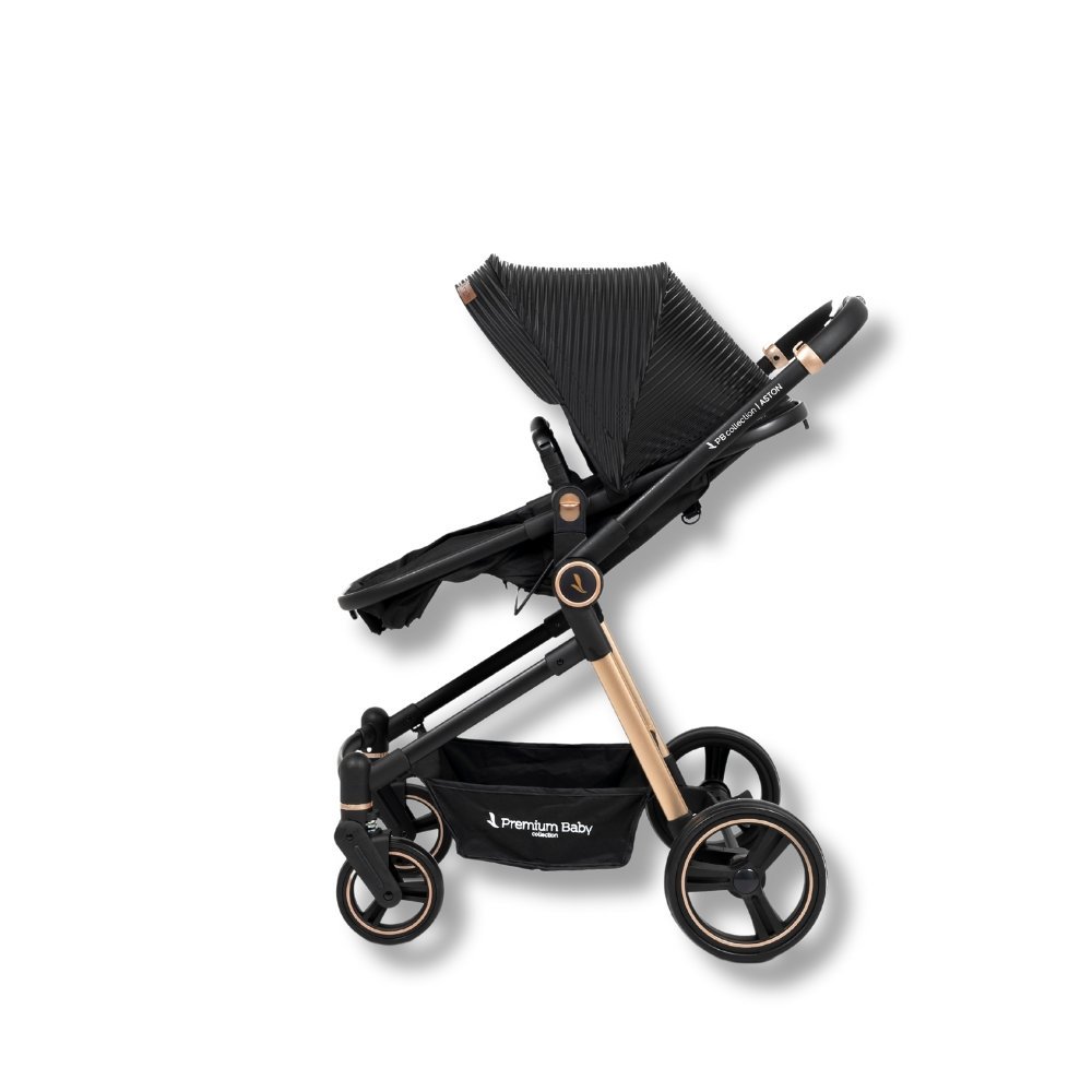 Carrinho de Bebe Aston + Bebe Conforto + Base Line Gold/preto - Joie - 4