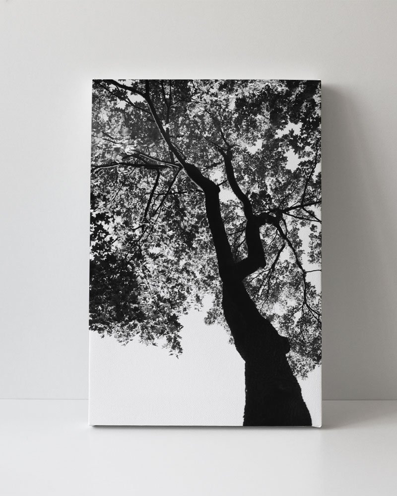 Tela em Canvas 095