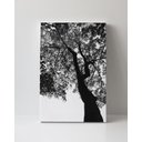 Ver imagem 1 de Tela em Canvas 095