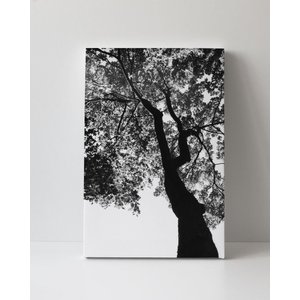 Tela em Canvas 095