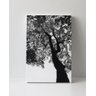 Tela em Canvas 095 - 1