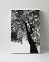 Ver imagem 1 de Tela em Canvas 095