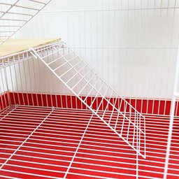 Gaiola para Chinchila 4 Andares - 6 Gaiola para Chinchila 4 Andares - 6