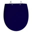 Ver imagem 1 de Assento Sanitário Laqueado Polo Azul para vaso Hervy