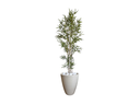 Ver imagem 1 de Planta Árvore Artificial Bambu 2,11m Com Vaso Areia 44