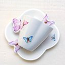 Ver imagem 6 de Jogo 10 Xicaras de Chá Porcelana com Pires Borboletas 200ml Wolff