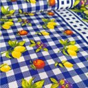 Ver imagem 2 de Tecido Oxford Estampado para Toalha de Mesa 1,00x1,50m:04