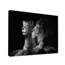 Ver imagem 1 de Quadro Casal de Leões -- BR ARTES