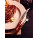 Ver imagem 5 de Jogo de Talheres Churrasco Aço Inox com Cabo Vermelho Polywood 12 Pçs Tramontina Tramontina Churrasc