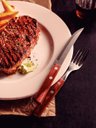 Ver imagem 5 de Jogo de Talheres Churrasco Aço Inox com Cabo Vermelho Polywood 12 Pçs Tramontina Tramontina Churrasc