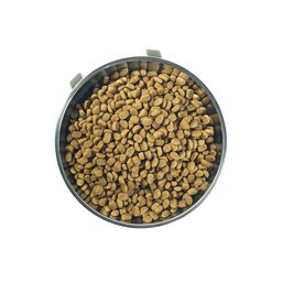 Alimentador Comedouro Automatico para Gatos e Cachorros - 8