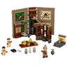 Lego HARRY Potter Momento Hogwarts Aula de Herbologia 76384 - 2