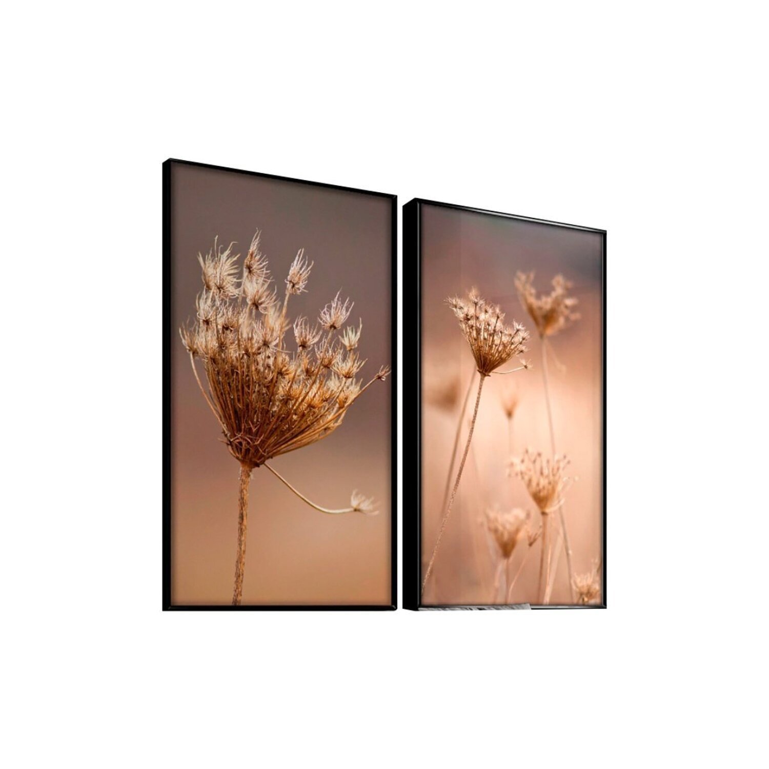 Quadro Decorativo Vinil com Vidro Flor Dente de Leão 120x80 - 1