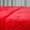 Manta de Microfibra Queen Antialérgica Soft Alto-relevo Geométrico 2,40m X 2,50m Vermelho - 5