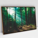 Ver imagem 1 de Quadro Decorativo Floresta Verde em tela Canvas TACOLADO PAPEL DE PAREDE Moldura Flutuante 4,5cm Fre