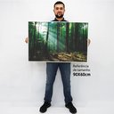 Ver imagem 2 de Quadro Decorativo Floresta Verde em tela Canvas TACOLADO PAPEL DE PAREDE Moldura Flutuante 4,5cm Fre