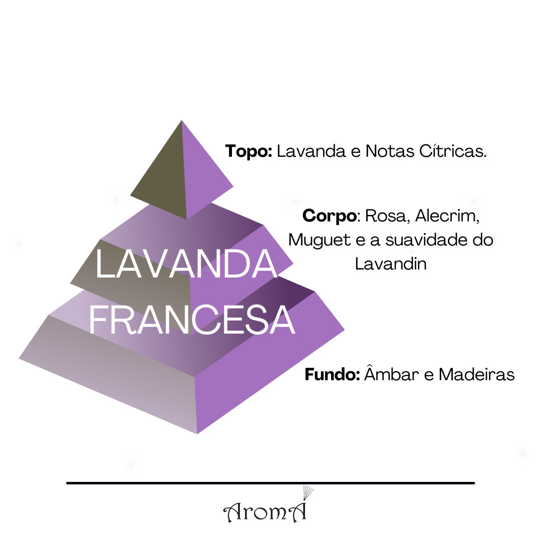 Kit Lavanda Francesa Aromá (Home Spray de 250 ml + Difusor Varetas de 250 ml) - 3