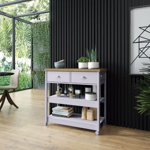 Carrinho Churrasco Ditália 2 Gavetas BA-135 cor:cinza