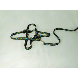 Conjunto Peitoral Ajustável RBPet com Guia - Cães de Mini Porte - 2