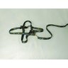 Conjunto Peitoral Ajustável RBPet com Guia - Cães de Mini Porte - 2