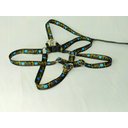 Ver imagem 4 de Conjunto Peitoral Ajustável RBPet com Guia - Cães de Mini Porte