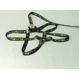 Conjunto Peitoral Ajustável RBPet com Guia - Cães de Mini Porte - 4