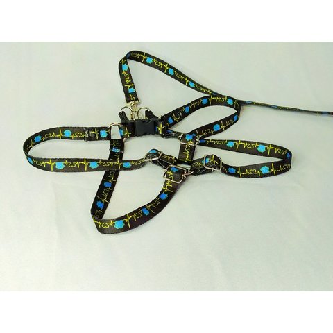 Conjunto Peitoral Ajustável RBPet com Guia - Cães de Mini Porte