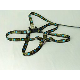 Conjunto Peitoral Ajustável RBPet com Guia - Cães de Mini Porte - 5