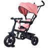 Triciclo 360º Rosa com Empurrador Passeio Divertido Dm Toys - 1