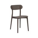 Ver imagem 1 de Cadeira para Jardim e Varanda Verte Eco Marrom/Café