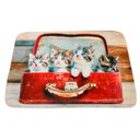 Ver imagem 1 de Tapete Antiderrapante Estampa Pets Estampa:gatinhos