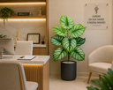 Ver imagem 2 de Planta Artificial Decorativa 8 Folhas Verde Realista 63 cm para Casa, Escritório e Comércio
