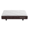 Mini Base Pet Camurça Marrom(13X100X80) Ortobom - 1